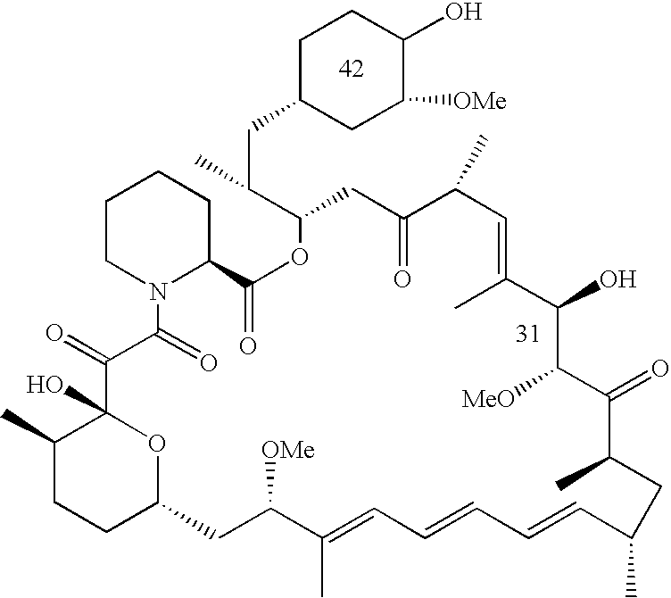 Use of an mTOR inhibitor in treatment of uterine leiomyoma