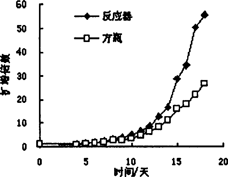 Perfusion culturing method of hemopoietic cell in agitation type bioreactor