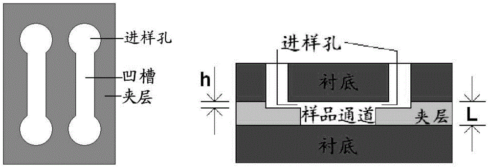 A microfluidic chip based on optical detection and its preparation method