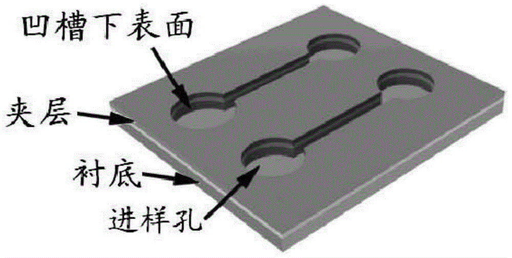 A microfluidic chip based on optical detection and its preparation method