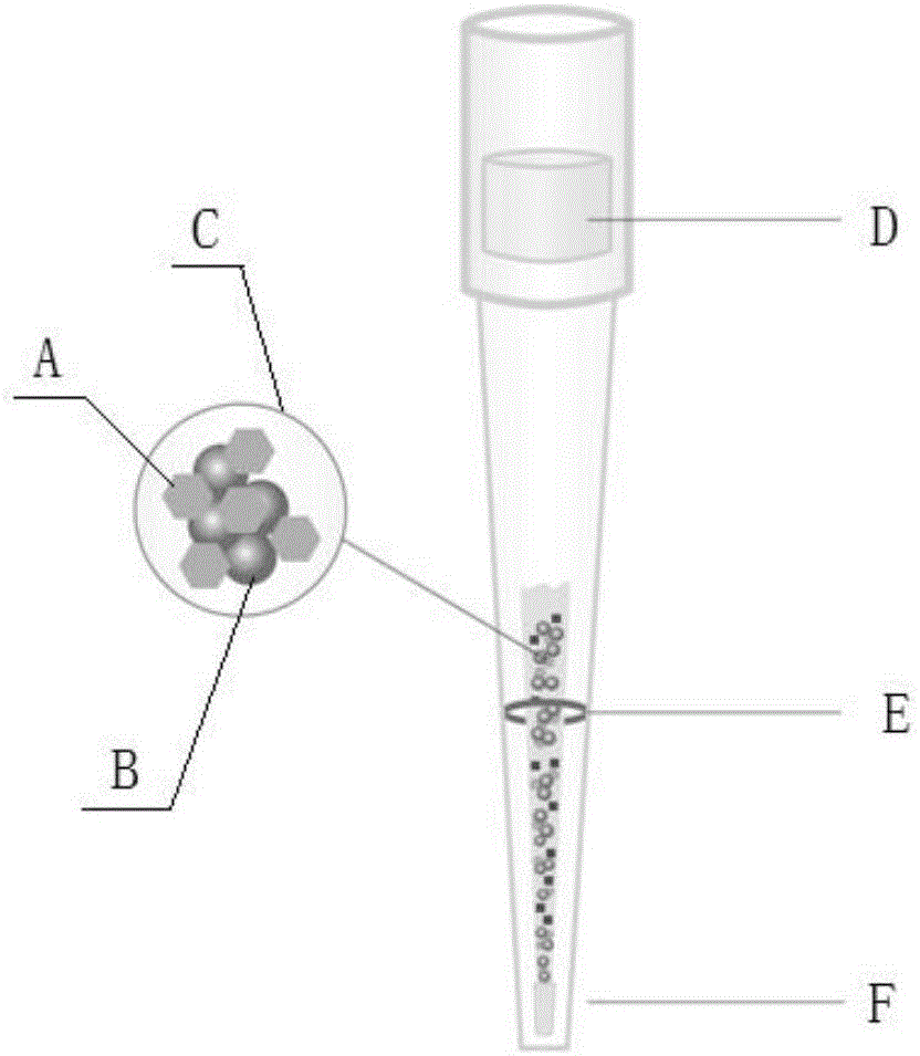 Method for extracting and analyzing beta-agonists clenbuterol by adopting DPX (dispersive pipette extraction) tip type dispersive solid-phase microextraction column