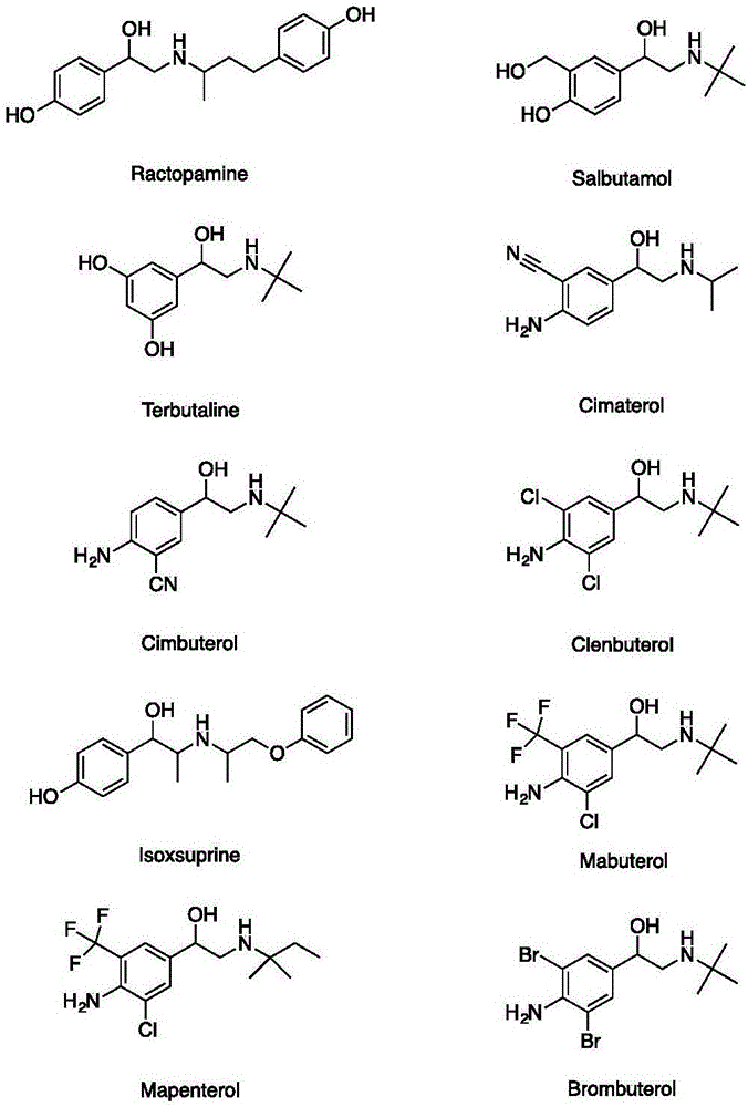 Method for extracting and analyzing beta-agonists clenbuterol by adopting DPX (dispersive pipette extraction) tip type dispersive solid-phase microextraction column