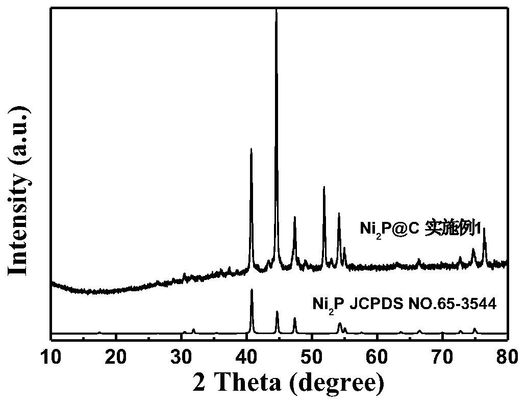 Preparation method of three-dimensional carbon network coated Ni2P nano particle composite material