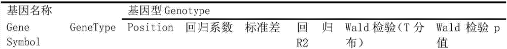 Grassland red cattle fat content relevant molecular marker as well as obtaining method and application thereof