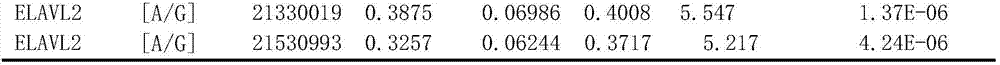 Grassland red cattle fat content relevant molecular marker as well as obtaining method and application thereof