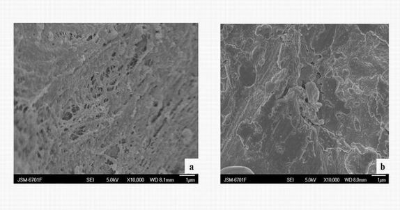 Preparation and application of carboxymethyl cellulose of wheat straw