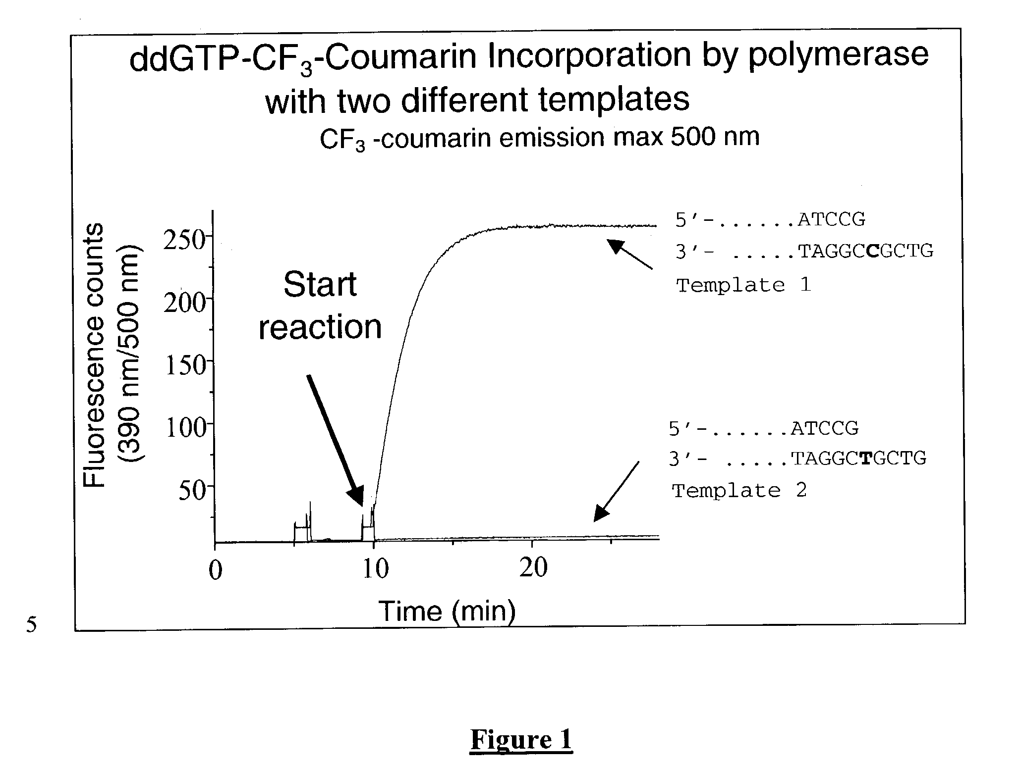 Terminal-phosphate-labeled nucleotides and methods of use