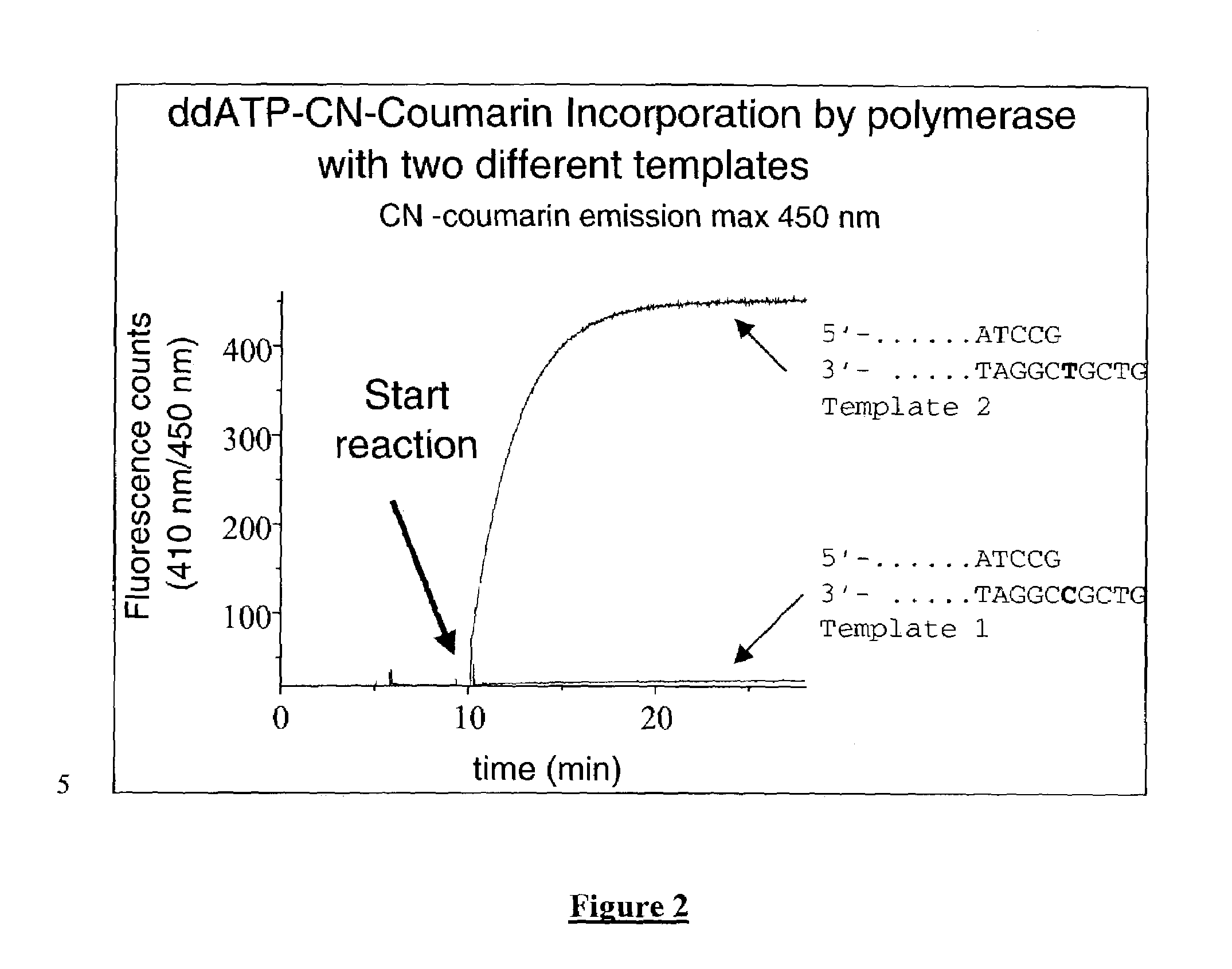 Terminal-phosphate-labeled nucleotides and methods of use