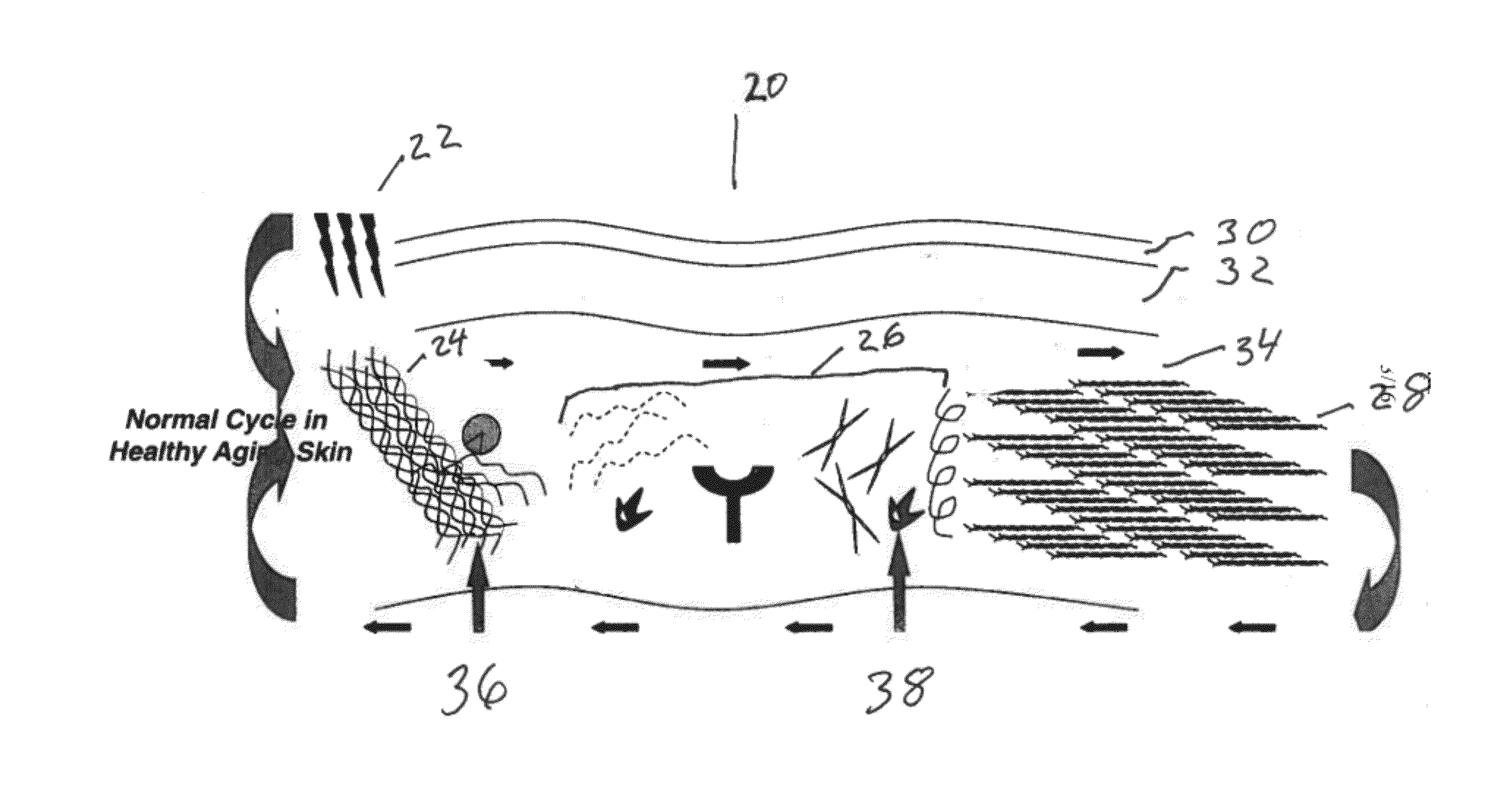 Genetic Signatures and Gene Chips Associated With Administration of Electrically Conducted Radio Frequency Current to Skin and Methods and Treatments Relating Thereto