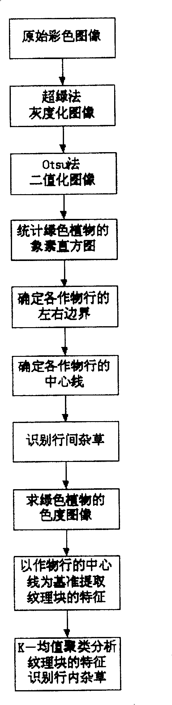 Method for automatically identifying field weeds in crop seeding-stage using site and grain characteristic