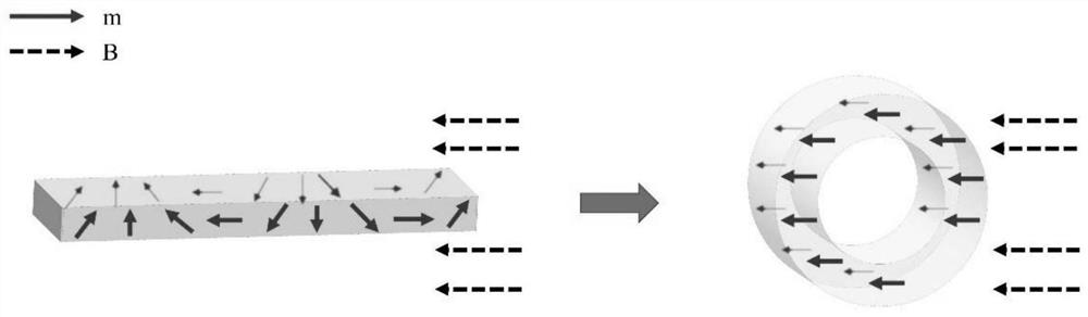 A kind of magnetic dressing and its preparation method and application