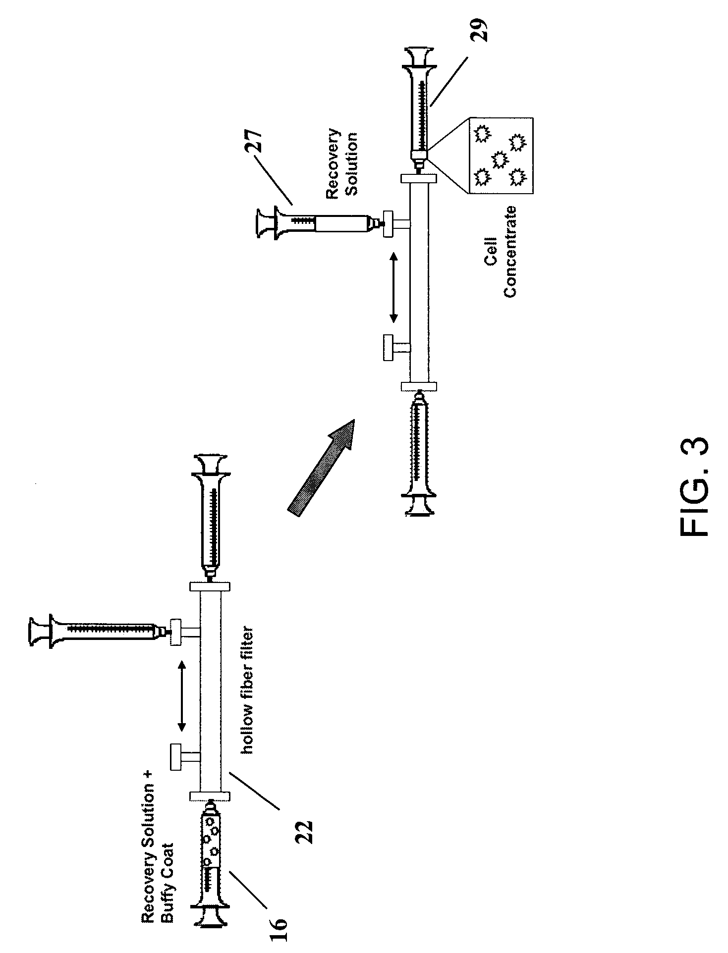 Preparation of a cell concentrate from a physiological solution