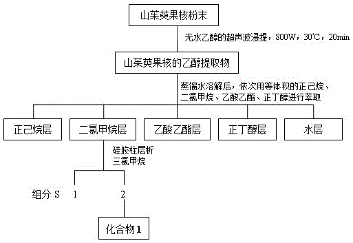 Method for extracting and separating betulinic acid from cornus officinalis kernels