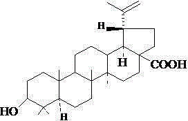 Method for extracting and separating betulinic acid from cornus officinalis kernels