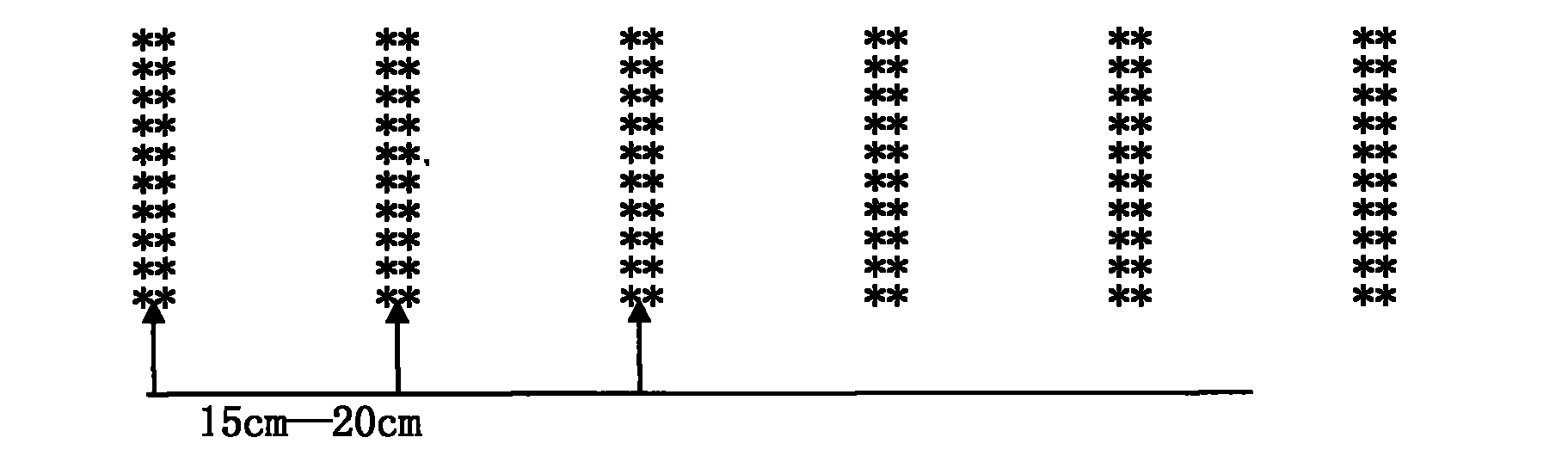 High-yield wheat planting method