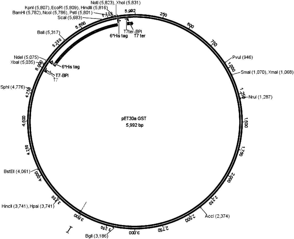 A colloidal gold rapid detection test strip for tmv-cmv double virus