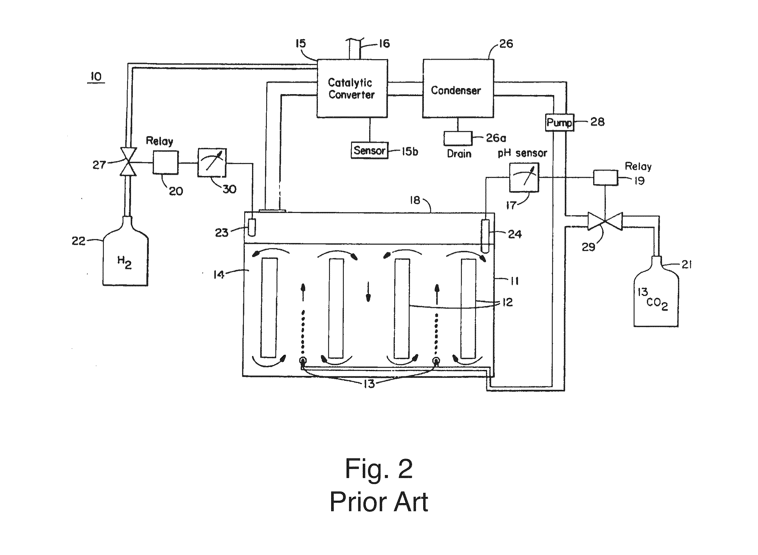 Method for producing algae in thin