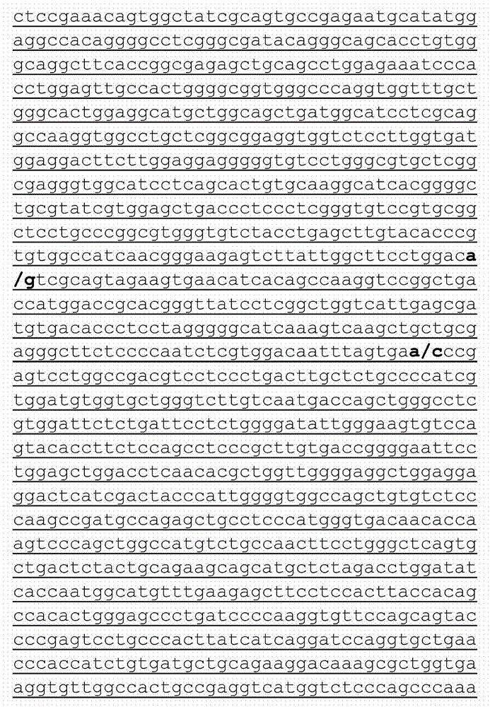 Variant of BPIFB4 protein