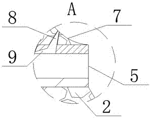 A New Bottom Structure of Fluidized Chlorination Furnace Without Sieve Plate