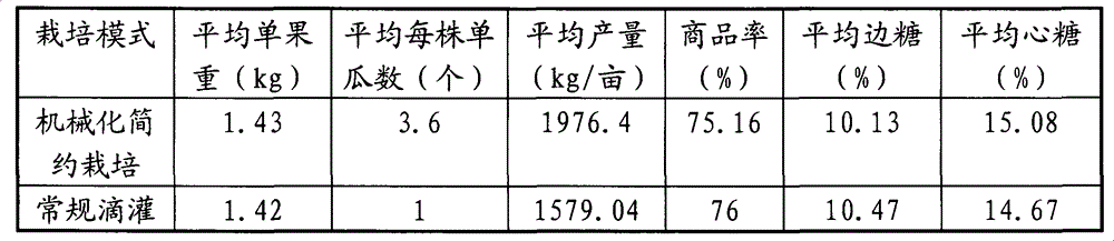 Mechanical planting pattern suitable for concise melon cultivation in the open field