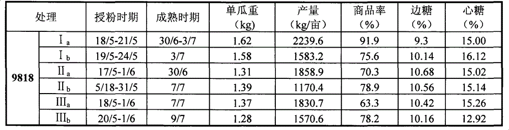 Mechanical planting pattern suitable for concise melon cultivation in the open field