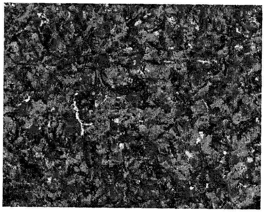 High-hardenability alloyed gray iron die material and preparation method thereof