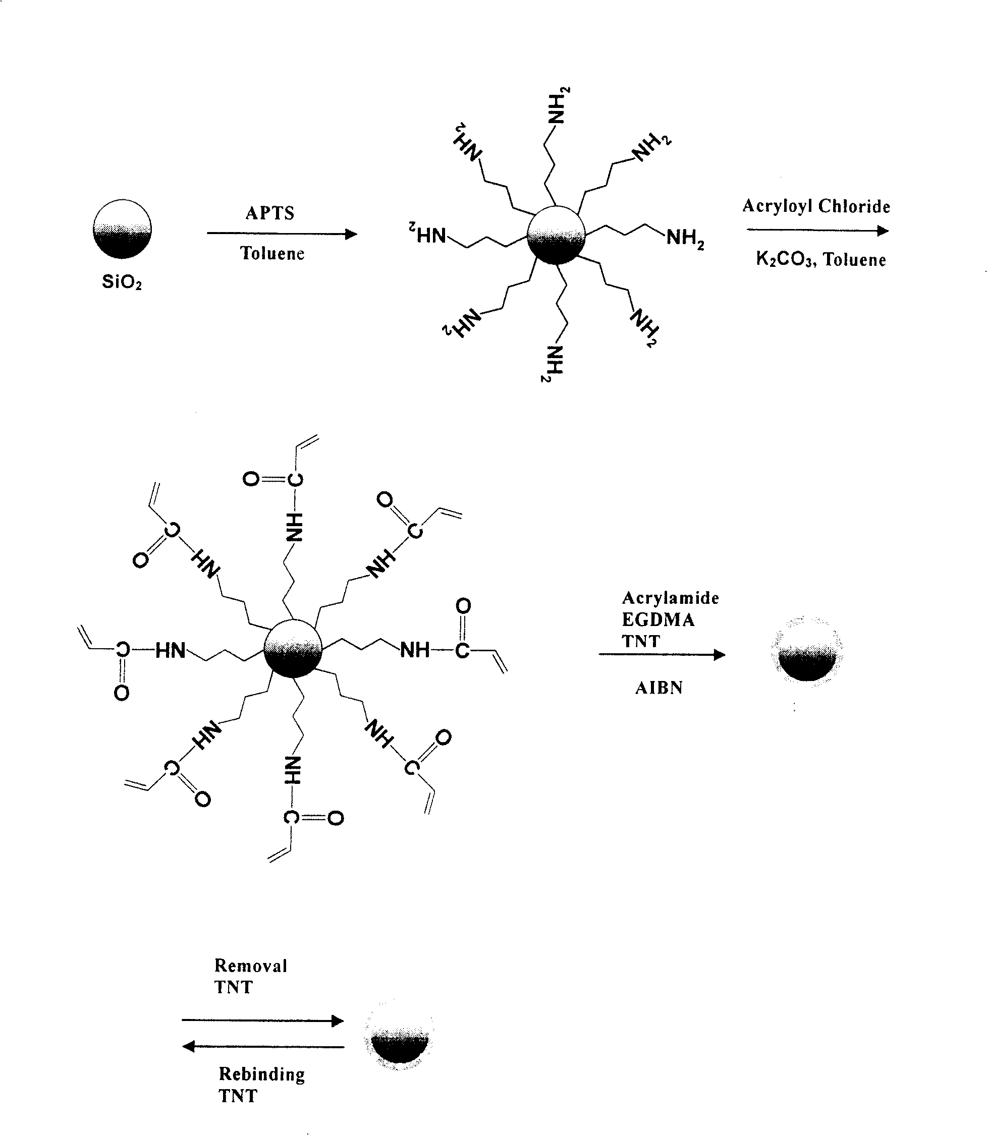 Preparation method of molecular engram silicon oxide nanometer particle with sensing molecule identification to TNT