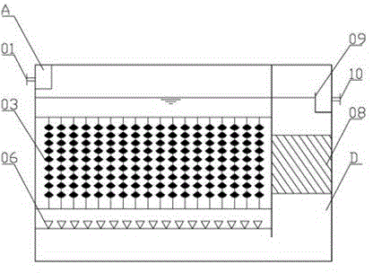 Integrated treatment plant for sewage from biological removal of nitrogen