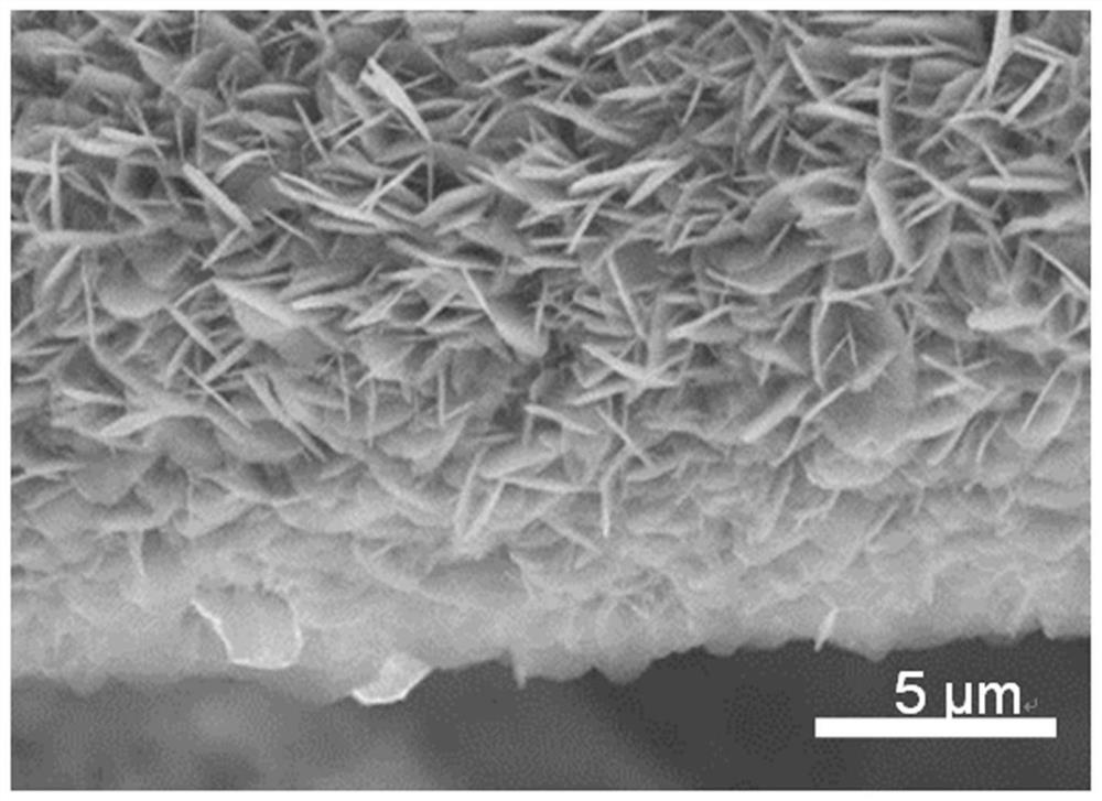 non-lamellar sn  <sub>2</sub> p  <sub>2</sub> s  <sub>6</sub> Preparation method of nanosheets and its application in the field of photocatalytic hydrogen evolution