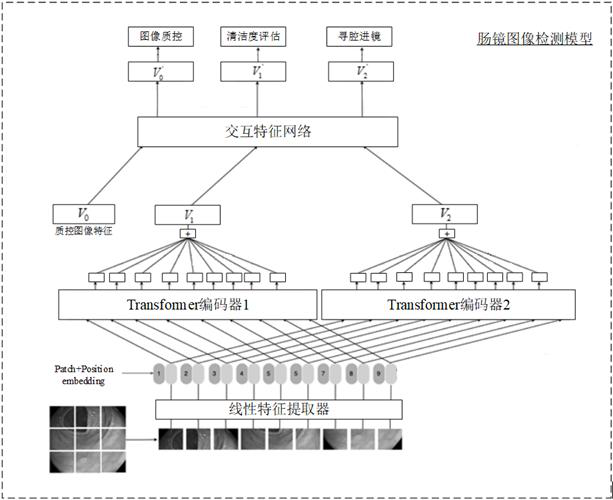 Endoscope image detection method, device, storage medium and electronic equipment