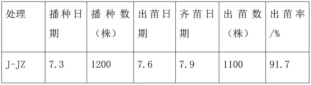 Preparation and application of Purpureocillium lilacinum biological seedling substrate