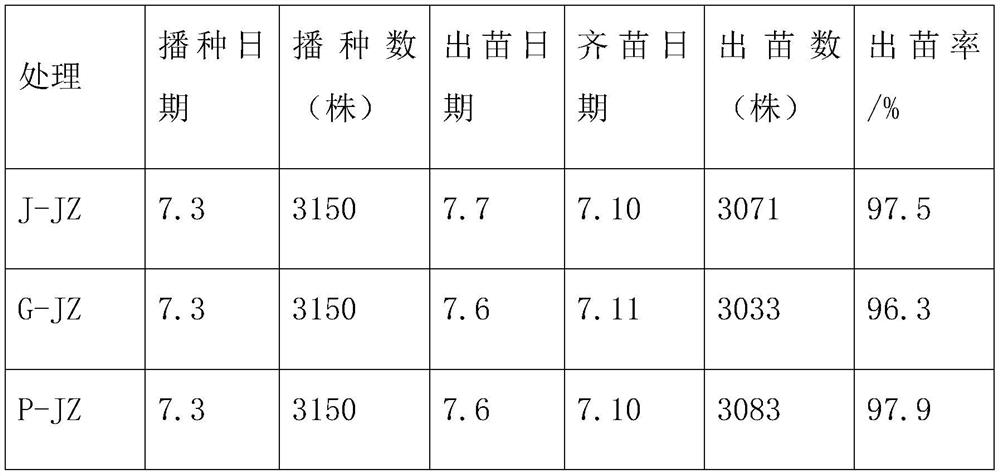 Preparation and application of Purpureocillium lilacinum biological seedling substrate