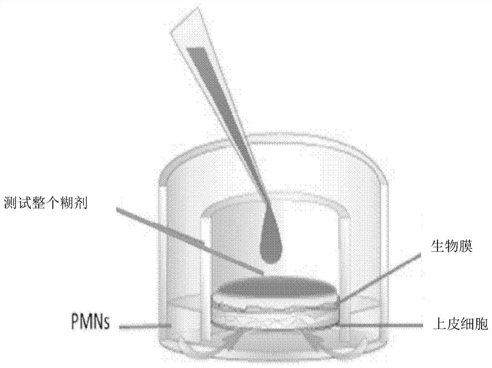 Methods of inhibiting neutrophil recruitment to the gingival crevice