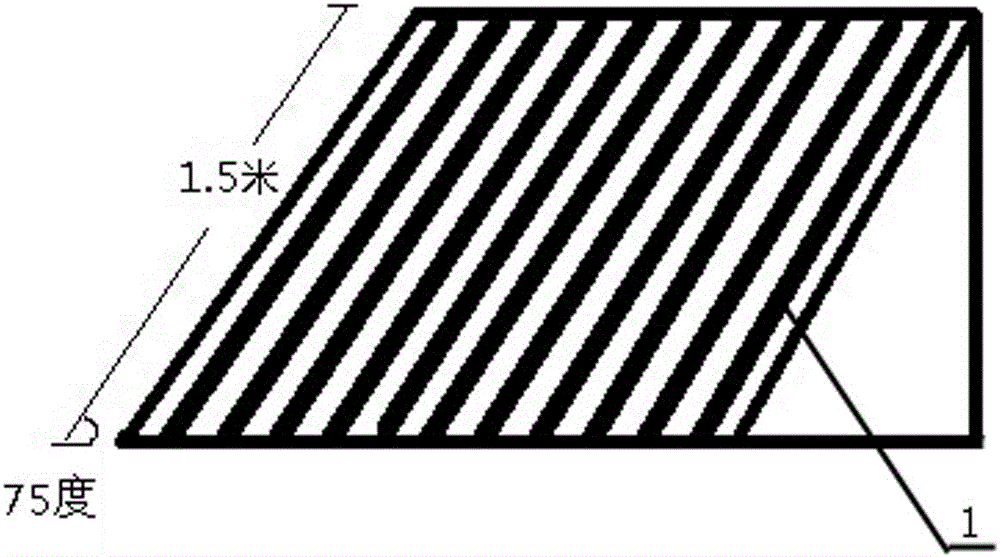 Method for planting dendrobium candidum in wild imitating understory condition