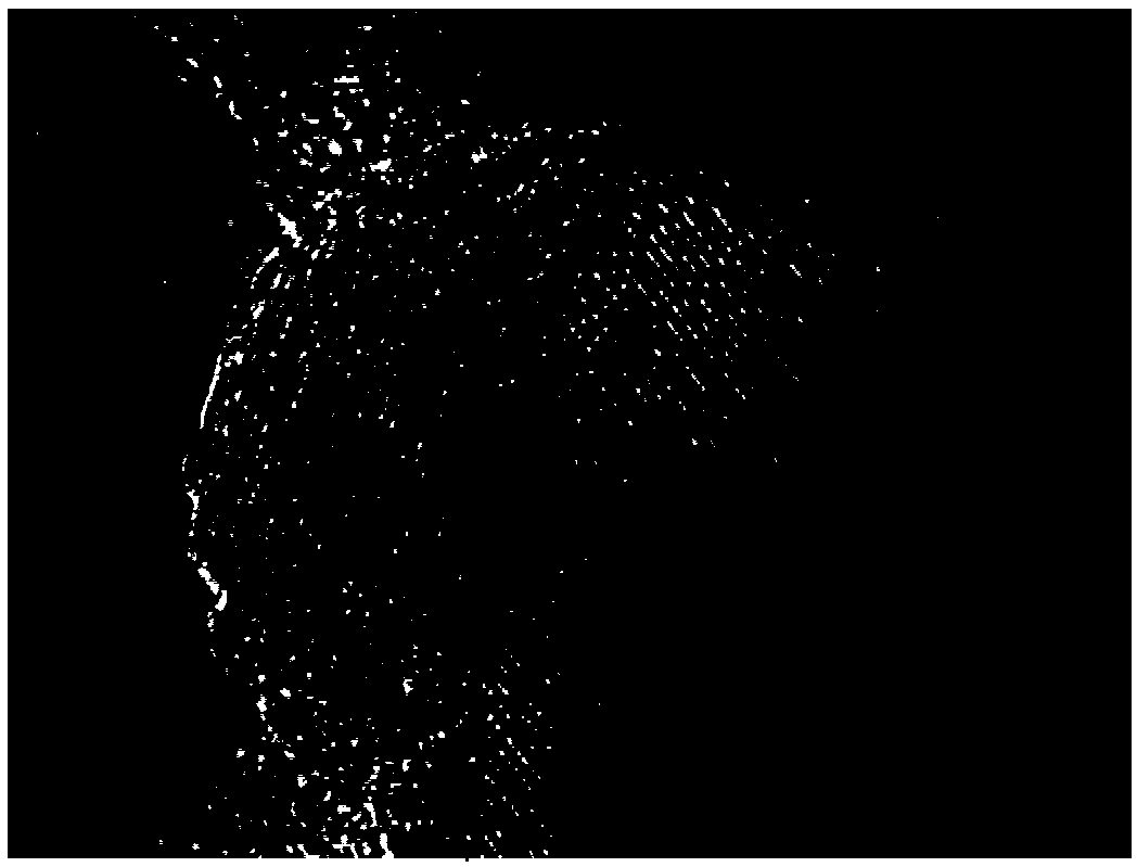 Manganese phosphate lithium/lithium vanadium fluorophosphate/carbon composite anode material and preparation method thereof