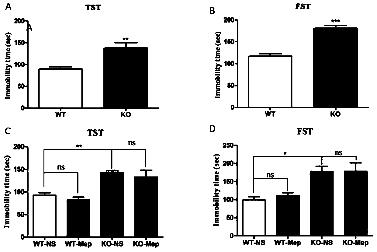 Application of meptazinol