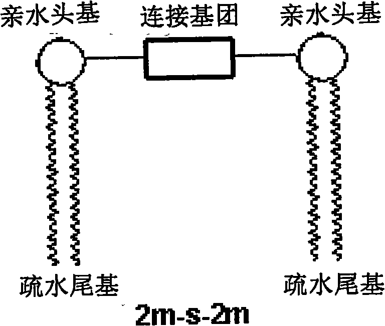 Double-tail gemini quaternary ammonium salt type cationic surface active agent and preparation method thereof