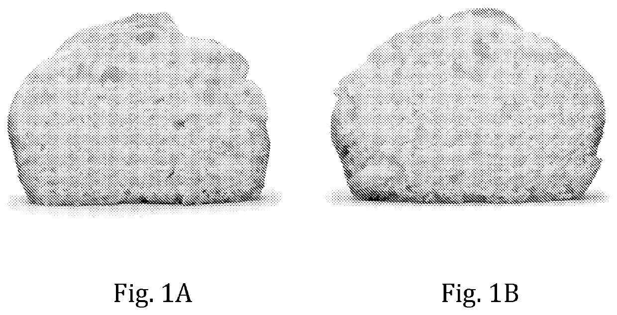 Multi-Purpose Ingredient for Bakery and Other Products