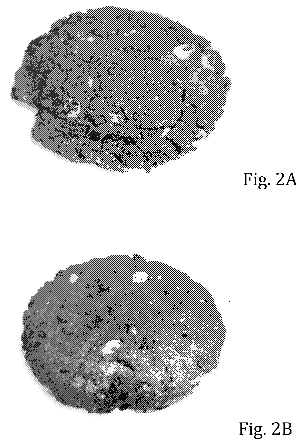 Multi-Purpose Ingredient for Bakery and Other Products