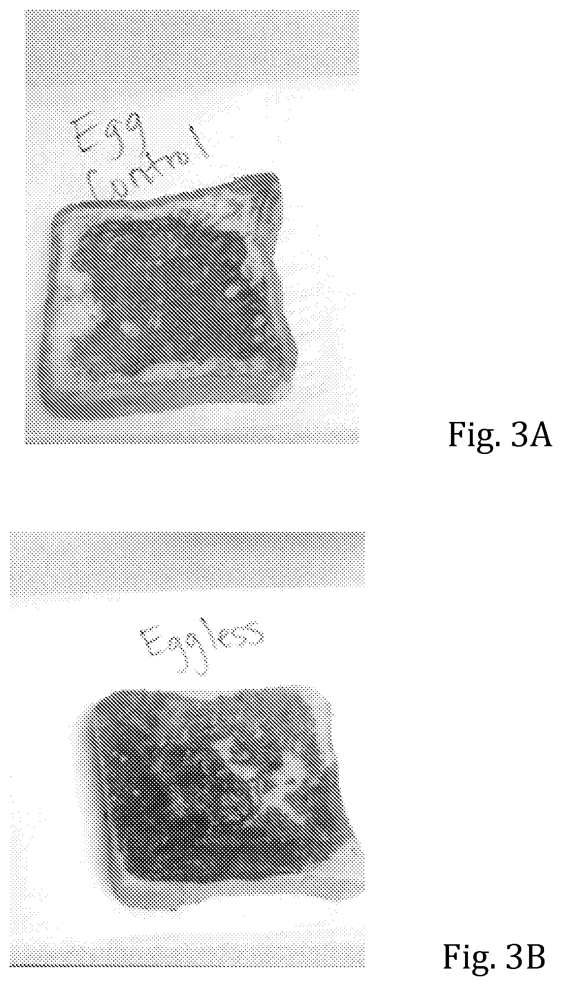 Multi-Purpose Ingredient for Bakery and Other Products