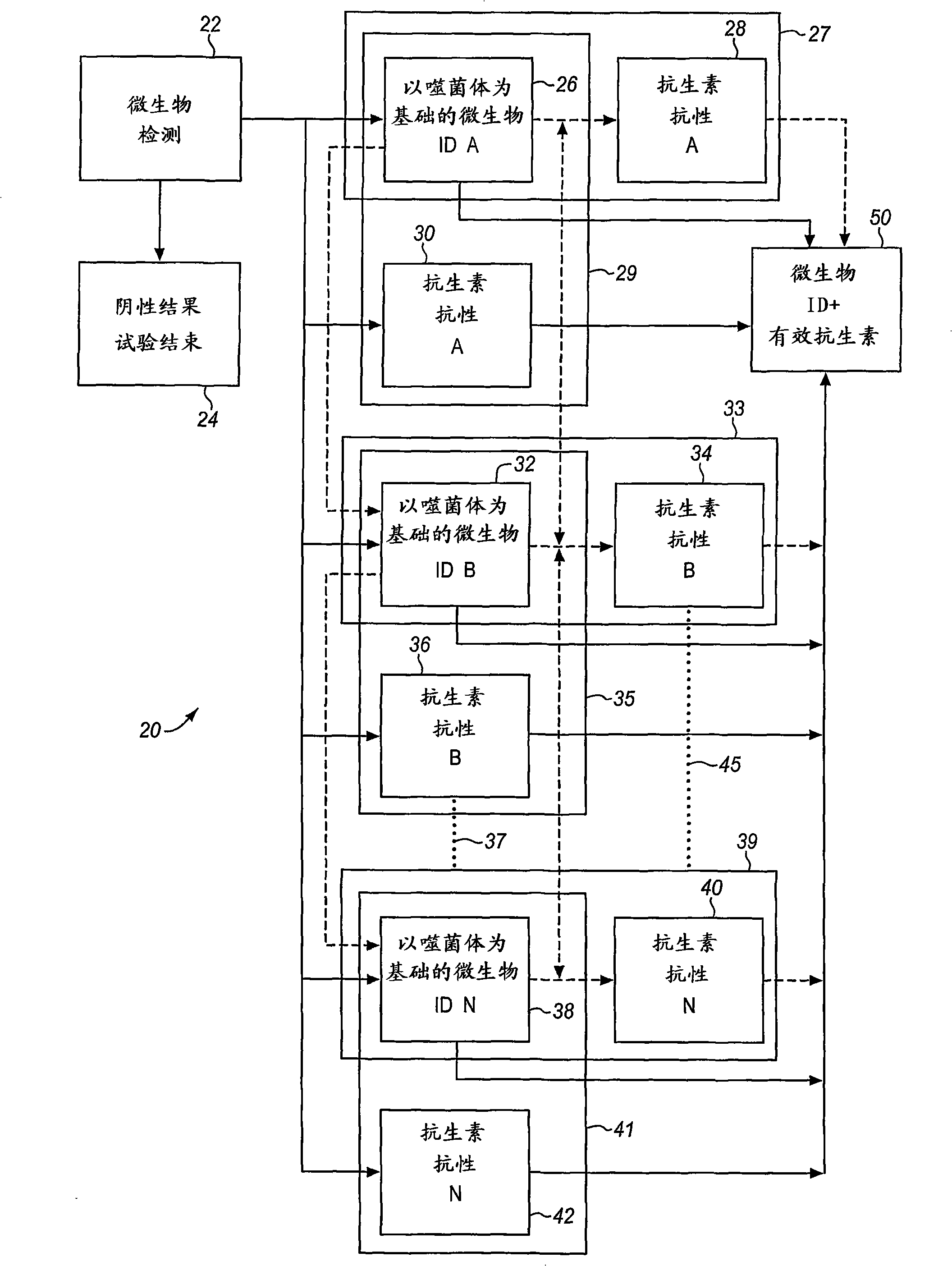 Method and apparatus for identification of microorganisms using bacteriophage