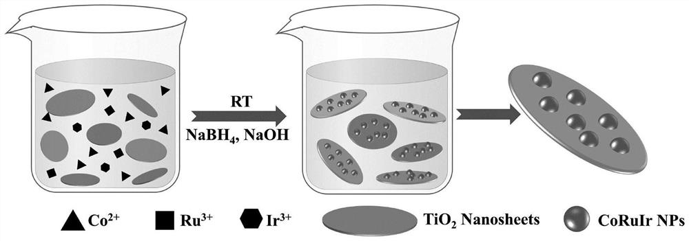 A kind of nano catalyst and its preparation method and application