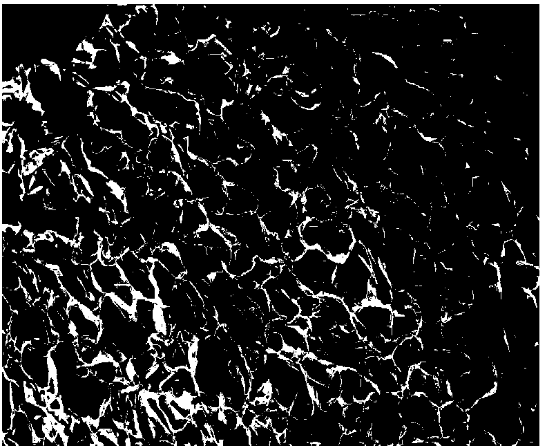 Sponge material of collagen from freshwater fish and preparation method thereof