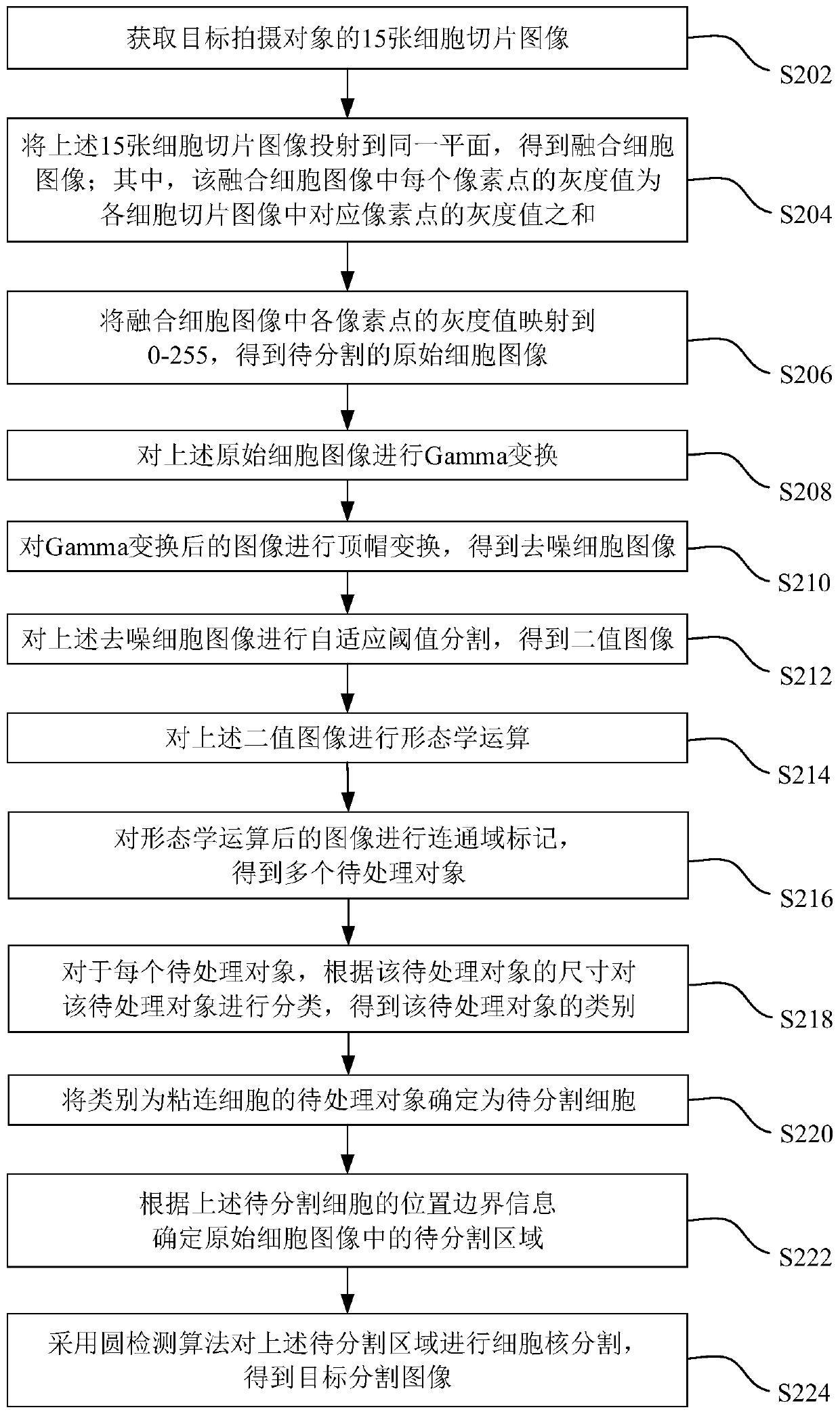 Cell nucleus segmentation method and device, electronic equipment and computer readable storage medium