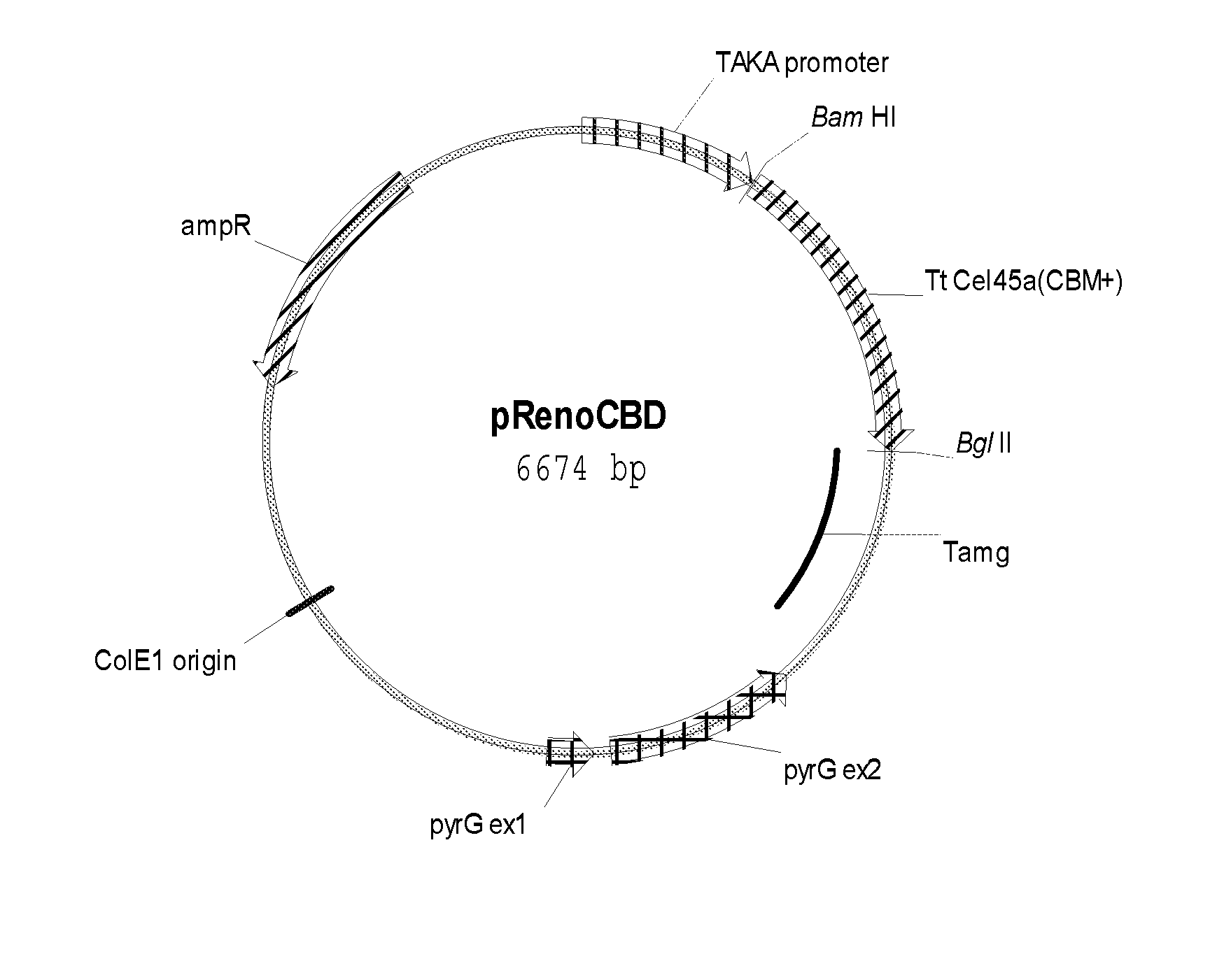 Method for treating textile with endoglucanase