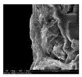 Preparation method of ceramic microfiltration membrane by using attapulgite nano fibers as separating layer