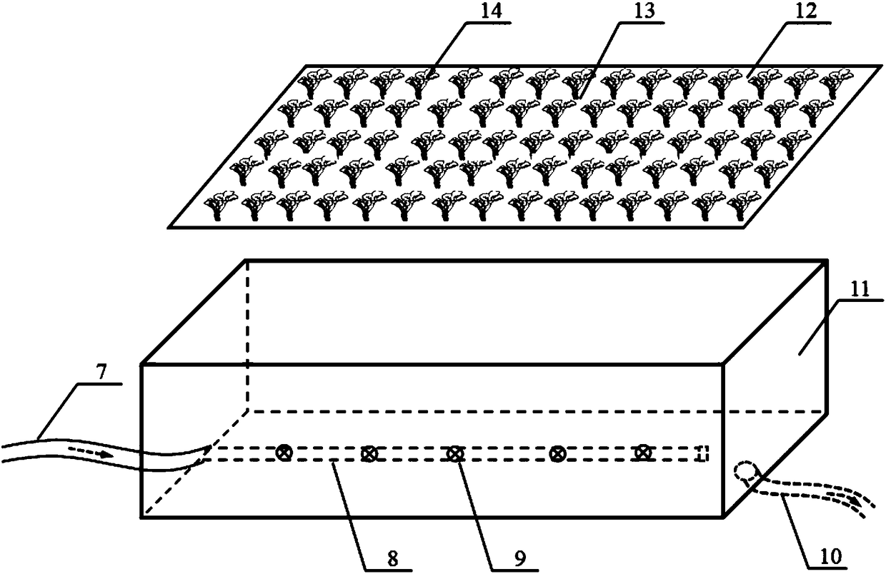 Production method for strawberry seedling propagation and celery crop rotation in northern area