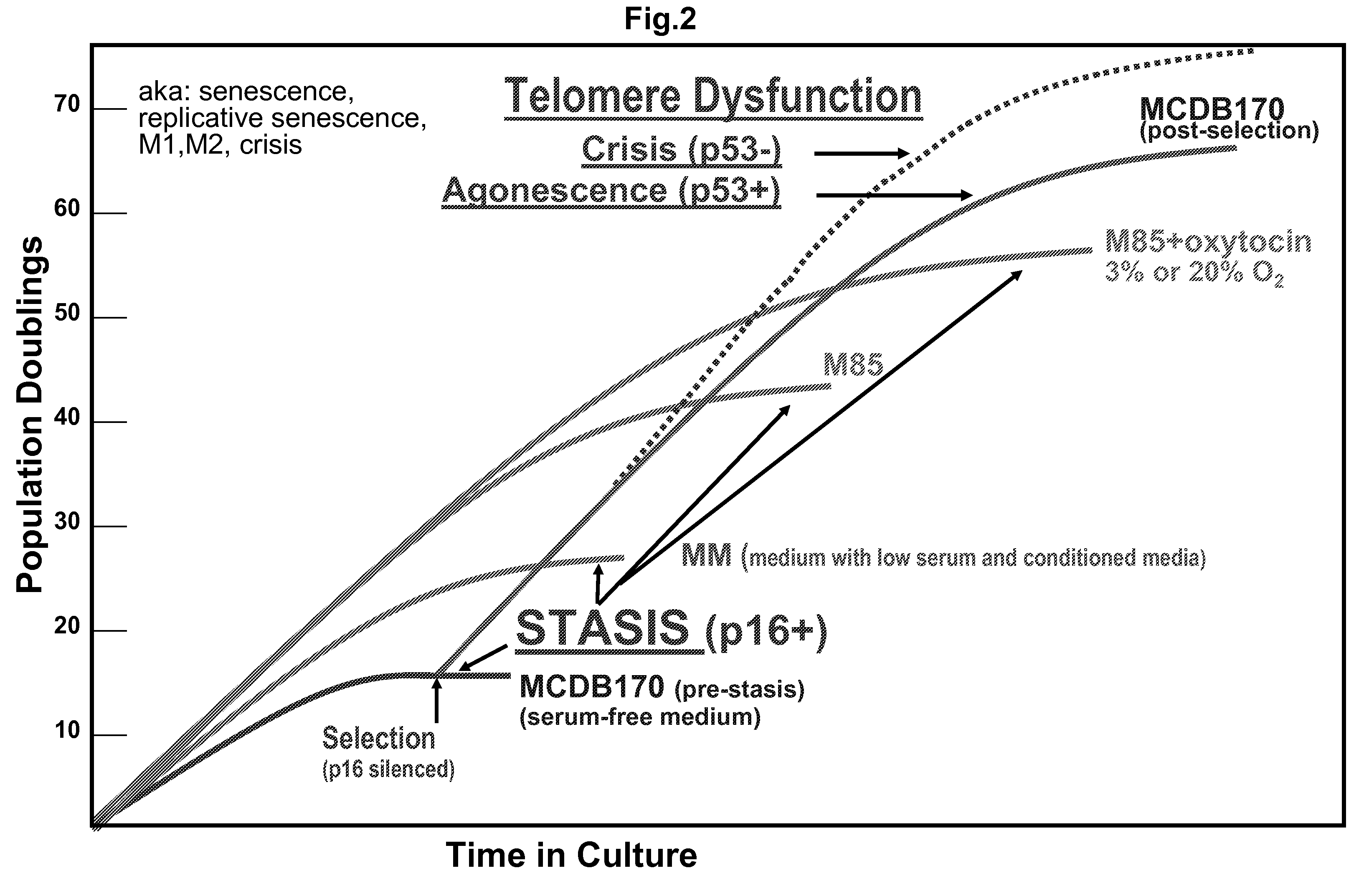 Increasing Cell Culture Population Doublings for Long-Term Growth of Finite Life Span Human Cell Cultures