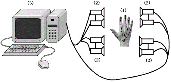 Hand rehabilitation training evaluation system and method based on motion capture