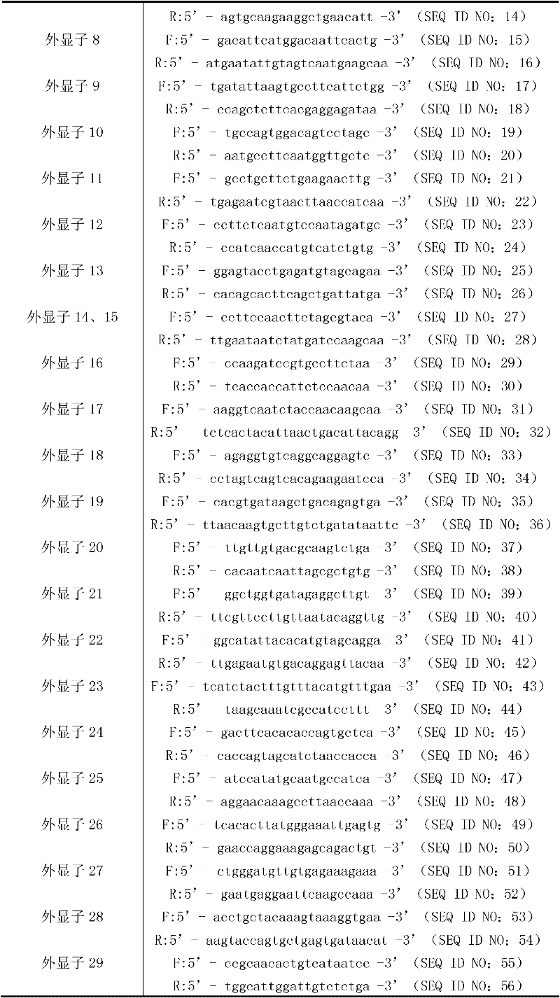 Kit for detecting mutation of duchenne muscular dystrophy causing gene and use thereof